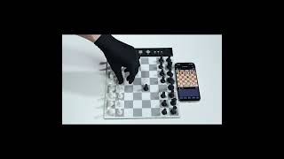 Two colors, endless possibilities.#ChessnutGo #SmartChess #ChessLife #chess #chessnut