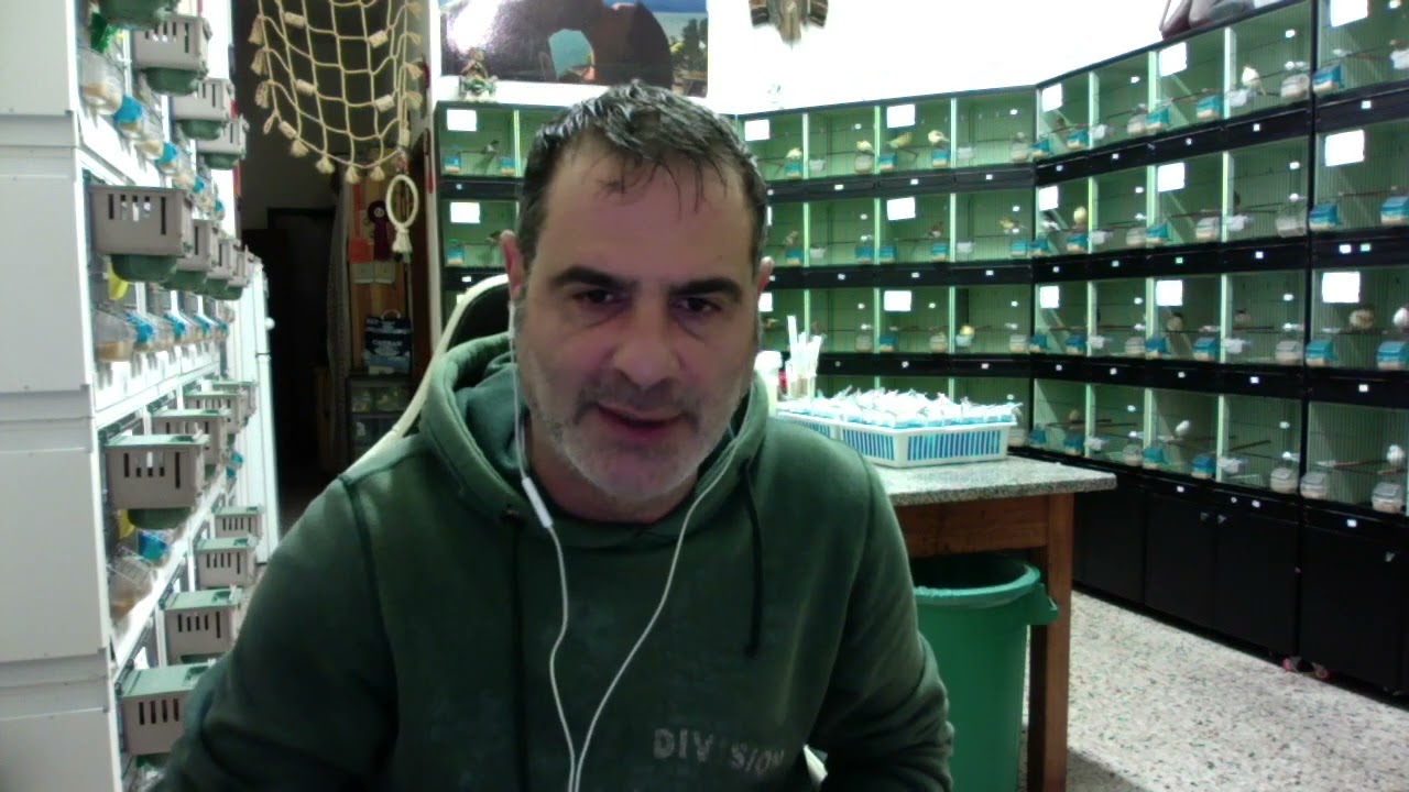 Exzolt, chiariamo ancora una volta il mio pensiero e come lo somministro.