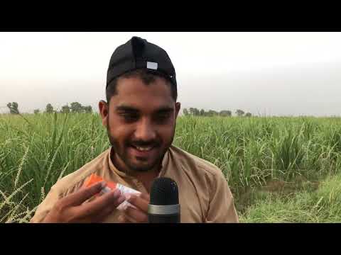 ASMR Fast and aggressive Noob v/s pro@ASMRChiranjit
