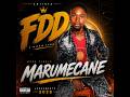 FDD Marumecane 2026 BY MAUDIONEWS CHANEL 