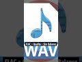 Music Producers ke liye 6 Audio File Types 🎧🔥 (WAV vs MP3 Secret) #shorts