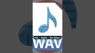 Music Producers ke liye 6 Audio File Types 🎧🔥 (WAV vs MP3 Secret) #shorts
