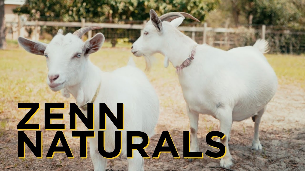orlando florida Zenn Naturals Farm