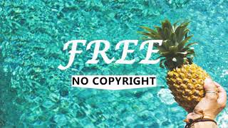 Tropical Sensation - Mike Leite (FreeNoCopyright Music)