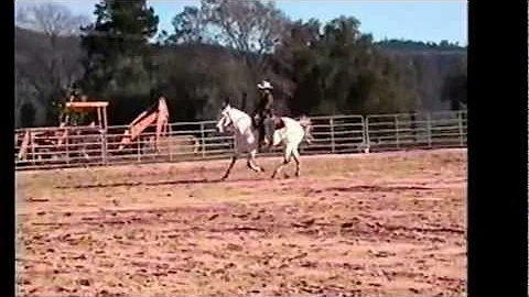 Adam Nelms: Klamath Ranch Horse Sale Preview