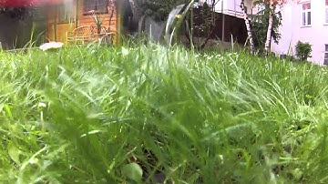 DIY Quad Gimbal Test with Soft Dampers from GlobeFligth.de