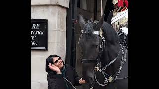 She holds the Reins to get the perfect pic. HANDS OFF THE REINS #horseguardsparade screenshot 5
