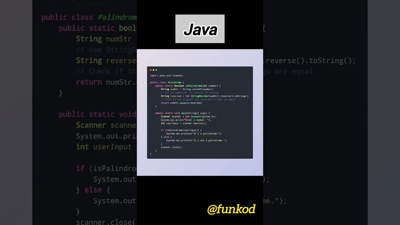 Palindrome Numbers Surprise At Last Coding Programming Programmer Python Developer