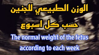 الوزن الطبيعي للجنين حسب كل اسبوع.The normal weight of the fetus according to each week