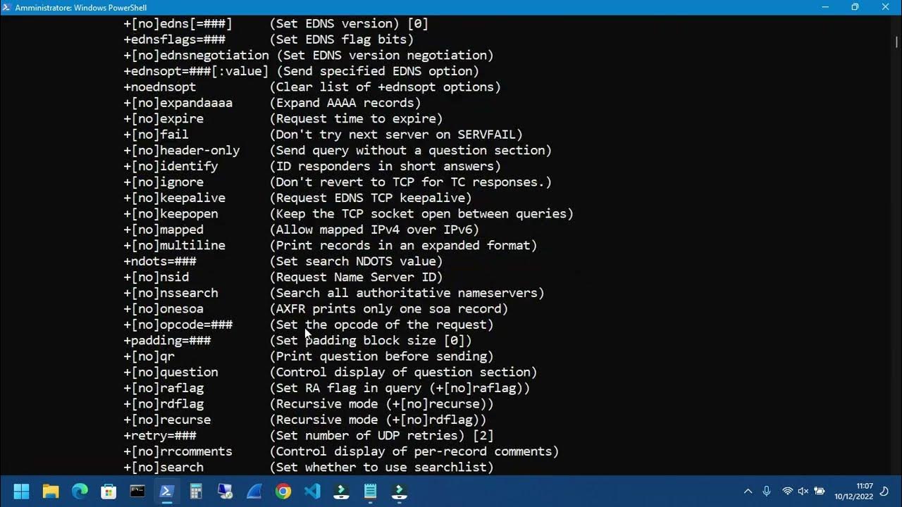How to download and install dig command line on windows 11 with