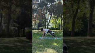 Download Lagu #yoga avec mon chien 🐕 MP3