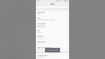 Enable Developer Mode Android