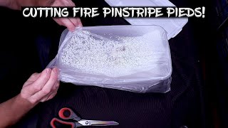 Cutting Ball Python Eggs!  (Fire Pied x Pinstripe Pied)