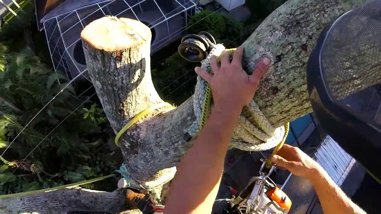 (RAW)#7 That one oak tree over power lines, we had them de-energized ...