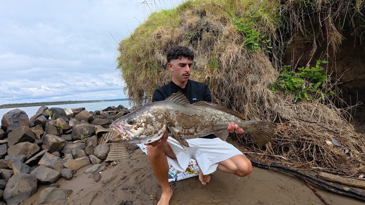 UNEXPECTED MULLOWAY ON 6LBS (NSW Lake Illawarra) 🔥🔥