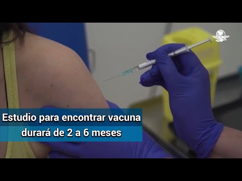Más de 10 mil personas participarán en ensayo en vacuna contra Covid-19