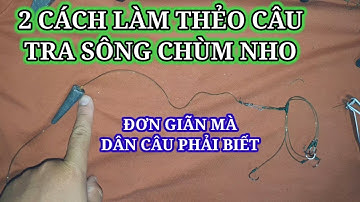 HƯỚNG DẪN CÂU CÁ #7 - CHIA SẺ LÀM THẺO CÂU CHÙM NHO SĂN TRA SÔNG