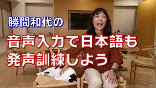 音声入力で日本語も発声訓練しよう。発音も、発声も、そして、単語選びも的確になります。英語のシャドーイングみたいな感じです。