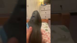 July 15, 2025 Information