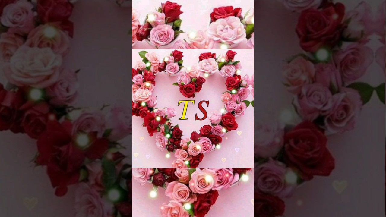 TS love wallpaper 💖💖💖💖💖💖💖