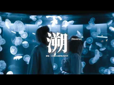 CORSAK胡夢周/馬吟吟 - 溯 (Reverse) feat. 馬吟吟『總想要透過你眼睛 去找尋水仙的倒影，沒想到最後卻目睹 一整個 宇宙的繁星。』【動態歌詞MV】