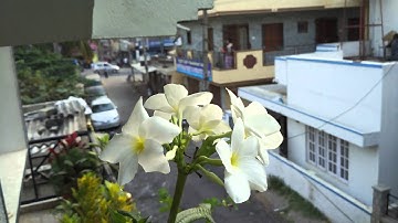 Mi4c 4K Video - Snapdragon Camera 2.1