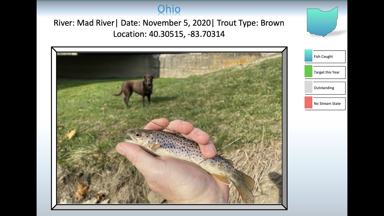 Fly Fishing Road Trips Mad River, Ohio November 2020 YouTube