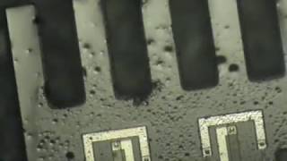 viscositysensor.avi