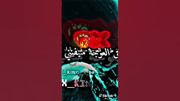 أغنية جيت نقولك سامحيني يا ما ياريت عندي ام اونقولهالها 