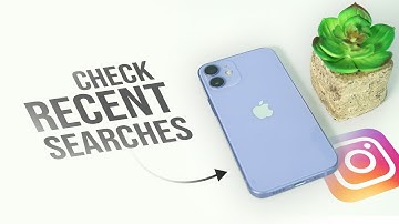 How to Clear Recent Searches on Instagram (tutorial)