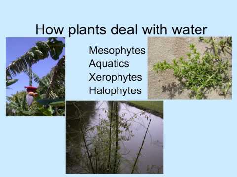 WaterRelations