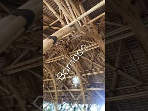 Bamboo House