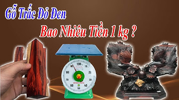 Gỗ Trắc Đỏ Đen Bao Nhiêu Tiền 1kg ? - ĐỒ GỖ VĂN SÁU