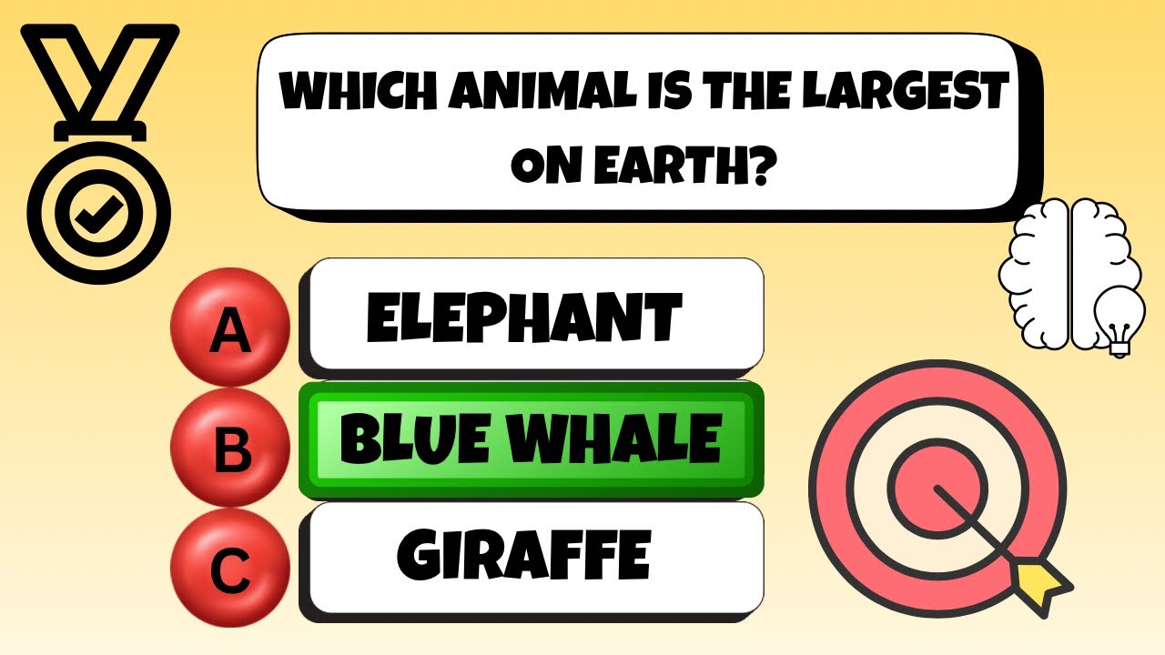 Kids General Knowledge Quiz | GK Questions for Kids | Easy Learning Quiz | Kids Quiz | Brain Booster