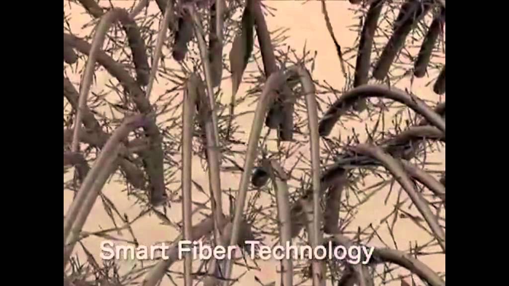 Miracle Hair Hair Building Fibers YouTube