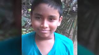 Dam rajina bus horn