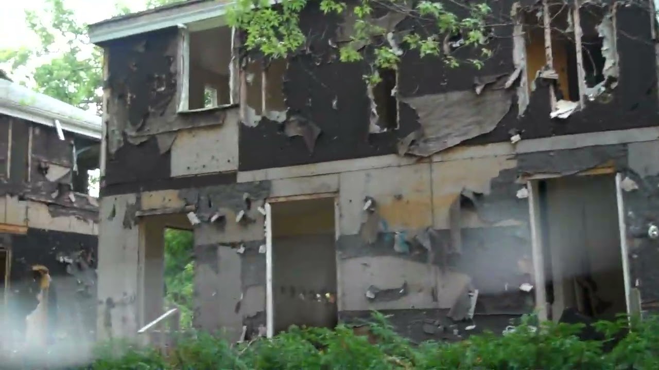 Look what me and sam ran into,  THE SHEA SHOW