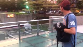 Discovering Taiwan -  台灣大發現