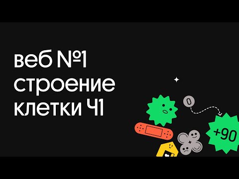 Экстра: строение клетки Ч1 - Экстра: строение клетки Ч1