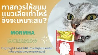 ทาสแมวควรให้ขนมแมวเลียเท่าไหร่จึงจะเหมาะสม ? (Highlight สัมภาษณ์หมอบอย เจ้าของเพจโภชนาการหมาแมว)