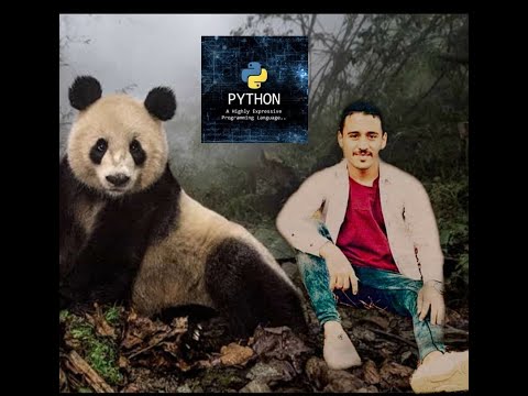 How to Rename Columns in a pandas DataFrame (Arabic Explanation)