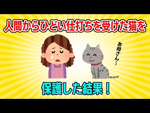 [2ch NNN] I tried to save a battered cat... the tearful outcome