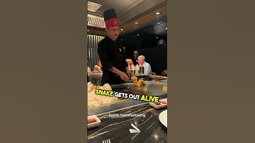 Hibachi chef makes sure no egg snake gets out alive and it