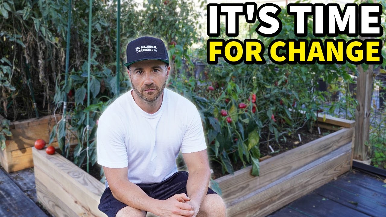 This Isn't The Happy Birthday I Wanted...