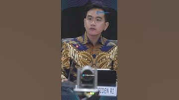 Eks Kader PDI Perjuangan Effendi Simbolon Sebut Desakan Pemakzulan Gibran Tak Penuhi Syarat