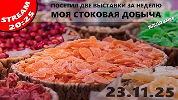 Мюнхен: две выставки за неделю. Моя стоковая добыча ... Вечерний стрим 23.11.2025