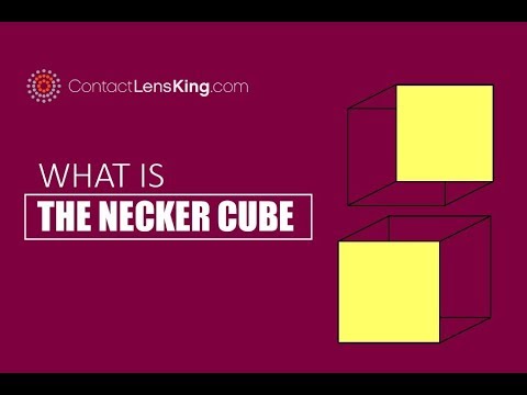 What is the Necker Cube, Who Discovered it, and Why is it Important?