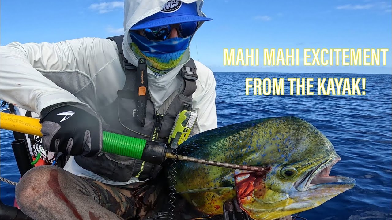 Mahi Mahi on live bait! Hawaii Kayak Fishing YouTube