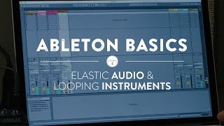 Ableton Basics - Part Three: Warping Audio & Looping Instruments