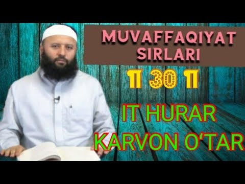 IT HURAR KARVON OʻTAR